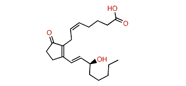 Prostaglandin B2