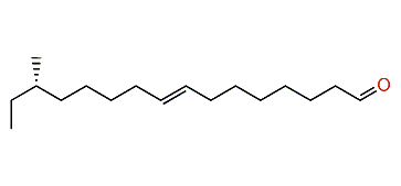 (R)-(E)-14-Methyl-8-hexadecenal