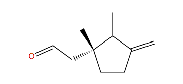 (R)-1,2-Dimethyl-3-methylenecyclopentyl-acetaldehyde