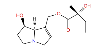 (R)-9-(2-Hydroxy-2-methylbutanoyl)-retronecine