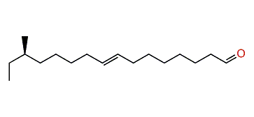 (S)-(E)-14-Methyl-8-hexadecenal