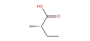 (S)-2-Methylbutanoic acid