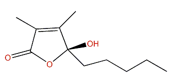 (S)-5-hydroxy-3,4-dimethyl-5-pentylfuran-2(5H)-one