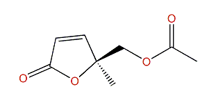(S)-5-Acetoxymethyl-5-methylfuran-2-one