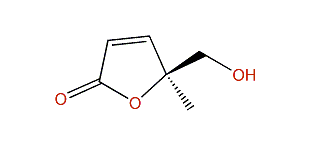 (S)-5-Hydroxymethyl-5-methylfuran-2-one