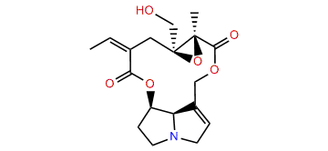 (Z)-Erucifoline
