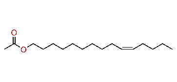 (Z)-10-Pentadecenyl acetate