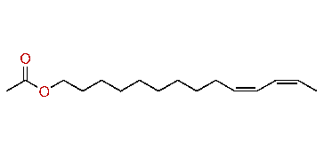 (Z,Z)-10,12-Tetradecadienyl acetate