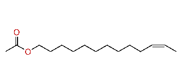 (Z)-11-Tridecenyl acetate