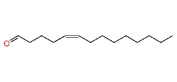 (Z)-5-Tetradecenal