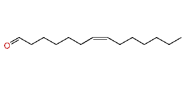(Z)-7-Tetradecenal