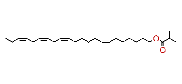 (Z,Z,Z,Z)-7,13,16,19-Docosatetraen-1-ol isobutyrate