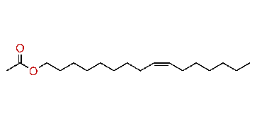 (Z)-9-Hexadecenyl acetate