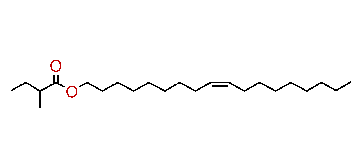 (Z)-9-Octadecenyl methylbutyrate