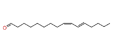 (Z,E)-9,11-Hexadecadienal