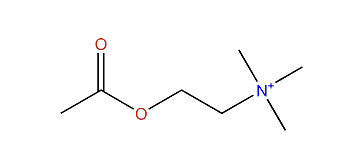 2-(Acetyloxy)-N,N,N-trimethylethanaminium