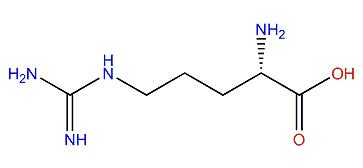 2-Amino-5-guanidinopentanoic acid