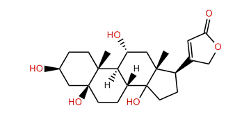 3beta,5,11alpha,14-Tetrahydroxy-5beta-20(22)-cardenolide