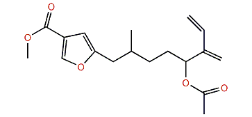 Capillofuranocarboxylate