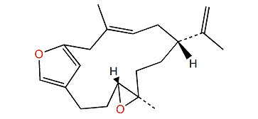 (1R*,11R*,12R*)-6,19,11,12-Bisepoxycembra-3,6,8(19),15-tetraene