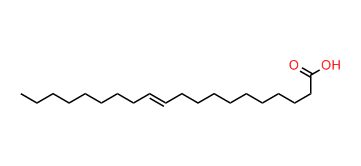 11-Eicosenoic acid