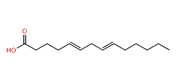 5,8-Tetradecadienoic acid
