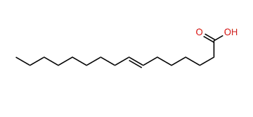 7-Hexadecenoic acid