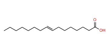 8-Heptadecenoic acid