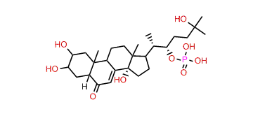 Ecdysone-22-phosphate