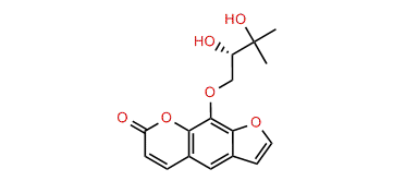 8-(2,3-Dihydroxy-isopentyloxy)-psoralene