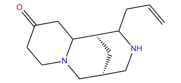 Isoangustifoline