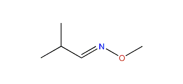 Isobutyraldoxime-O-methylether