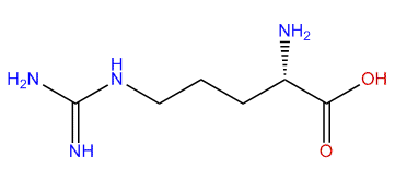 (S)-2-Amino-5-guanidinopentanoic acid