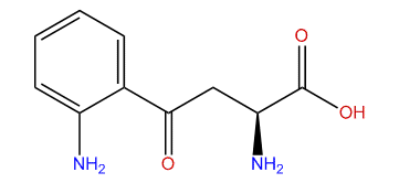(S)-2-amino-4-(2-aminophenyl)-4-oxobutanoic acid
