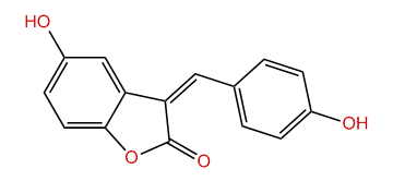 (Z)-5-Hydroxy-3-(4-hydroxybenzylidene)-benzofuran-2(3H)-one