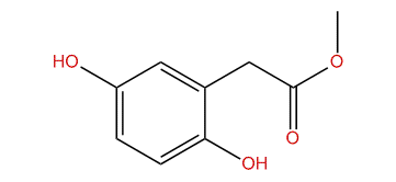 Methyl 2-(2,5-dihydroxyphenyl)-acetate