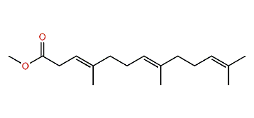 Methyl (E,E)-4,8,12-trimethyl-3,7,11-tridecatrienoate