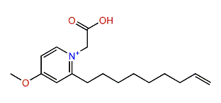 1-Carboxymethyl-4-methoxy-2-(8-nonenyl)-pyridinium
