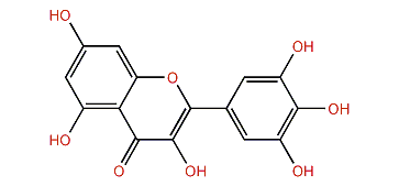 3,5,7-Trihydroxy-2-(3,4,5-trihydroxyphenyl)-4H-chromen-4-one