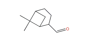 6,6-Dimethylbicyclo[3.1.1]heptane-2-carbaldehyde