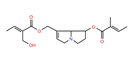 neo-Triangularine