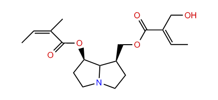 Neosarracine