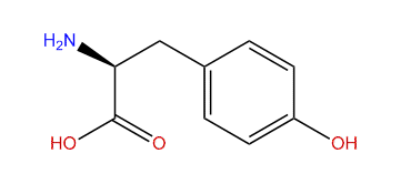 (S)-Amino-4-hydroxybenzenepropanoic acid