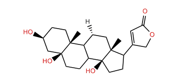 3beta,5beta,14beta-Trihydroxy-20(22)-cardenolide