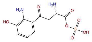L-3-hydroxykynurenine O-sulfate