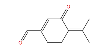 3-oxo-4-Isopropylidene-1-cyclohexene-1-carboxyaldehyde