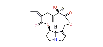 Spartioidine