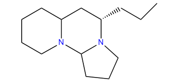 Tetraponerine_4