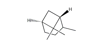 trans-2,6,6-Trimethylbicyclo[3.1.1]heptane