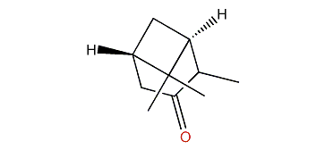 trans-2,6,6-Trimethylbicyclo[3.1.1]heptan-3-one